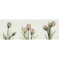 thumbnail image 3 of Koetsier, Albert 18x9 Black Modern Framed Museum Art Print Titled - Spring Tulip Triple, 3 of 5