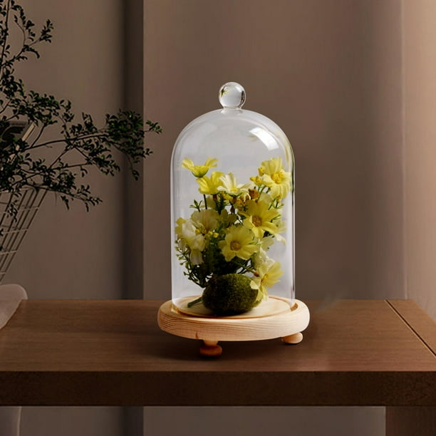 Campana de exhibición de cúpula de vidrio Cloche, vitrina portátil y versátil, centro de mesa, Base de madera para regalo de inauguración de la casa 10x16cm Macarena Cúpula de campana de exhibición