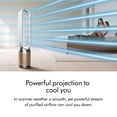 thumbnail image 3 of Dyson Purifier Cool PC2 De-NOx​ | Nickel/Gold | New, 3 of 8