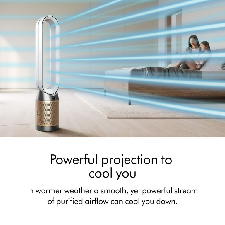 Dyson Purifier Cool PC2 De-NOx​ | White/Gold | New - Walmart.com