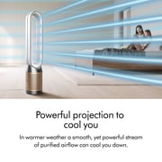 Dyson Purifier Cool PC2 De-NOx | Nickel/Gold | New
