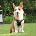 thumbnail image 6 of Cat Walking Supplies, Escape-Proof Vest Style Cat Harness and Leash, Cat Leash and Harness Set, Adjustable Breathable Mesh Cat Harness, Padded No-Pull Vest Harness with Reflective, 6 of 6