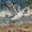Seagull02, variant on Standing Squawking Seagull Beach Wave Scene Framed Wall Art, Solid Wood Frame Coastal Bird Ocean Art Print, Casual Nautical Wall Decor for Bathroom Sunroom, 12x16in