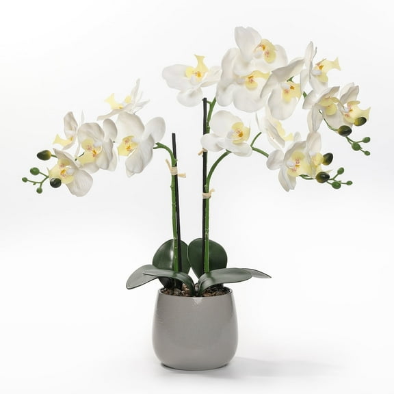 Artificial White Orchid Plant in Gray Ceramic Pot, 21-Inches Tall, Realistic Faux Flowers Indoor Decorative Display, Non-Allergenic, Maintenance-Free