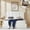 White, variant on VELOCAVA Queen Upholstered Lift-up Storage Bed with Vertical Channel Wingback Headboard, White