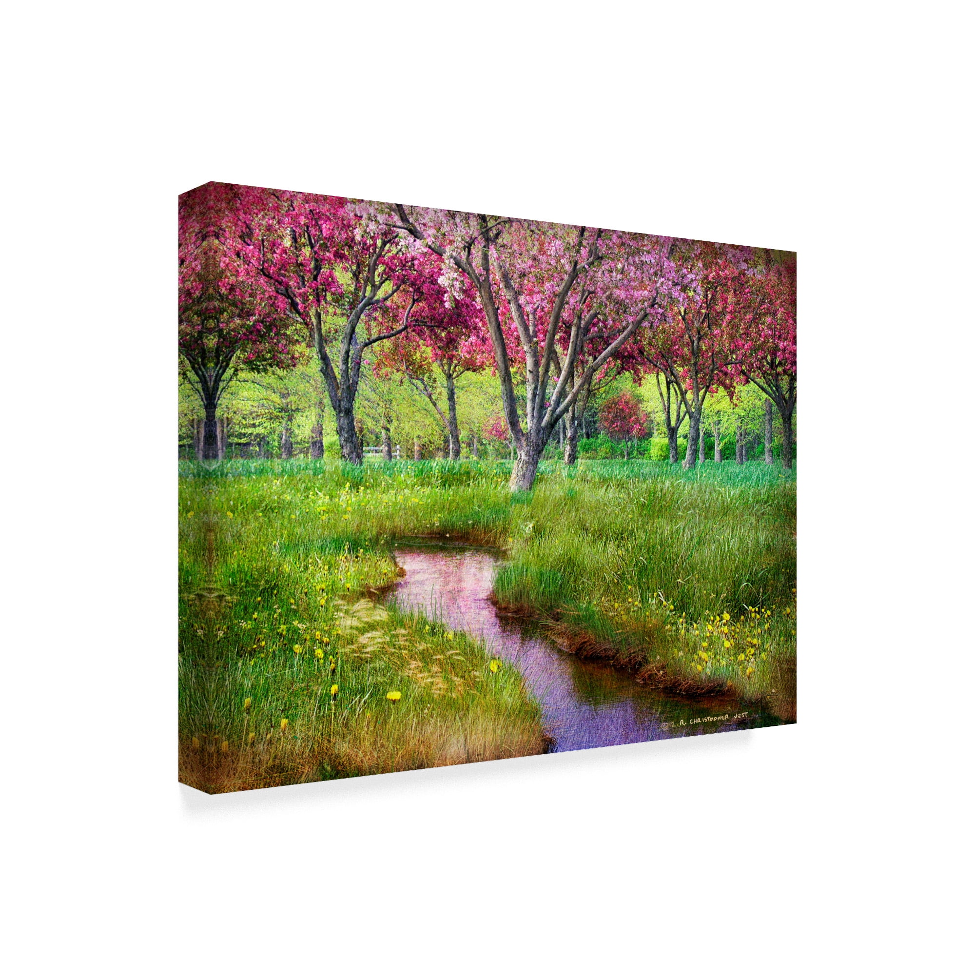 Trademark Fine Art 'Summer Spring' Canvas Art by Chris Vest
