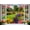 8x6ft, variant on 7x5ft Spring Summer Garden Window Backdrop Floral Nature Landscape Photo Background with Blooming for Portrait Photoshoot, Wedding, Shower, Birthday, Studio Decor 359