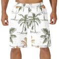 thumbnail image 1 of Ceisia Men's Tropical Palm Tree Print Swim Trunks 4-Way Stretch Quick-Dry Beach Shorts Gifts, 1 of 4