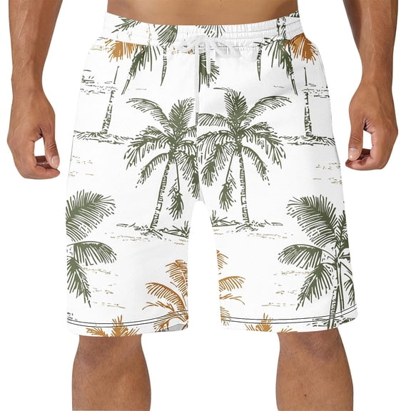 Shorts Men Cargo Mens Swim Trunks with Compression Liner 2 in 1 Quick Dry 9" Zipper Pockets Board Shorts for Surfing Beach Gym