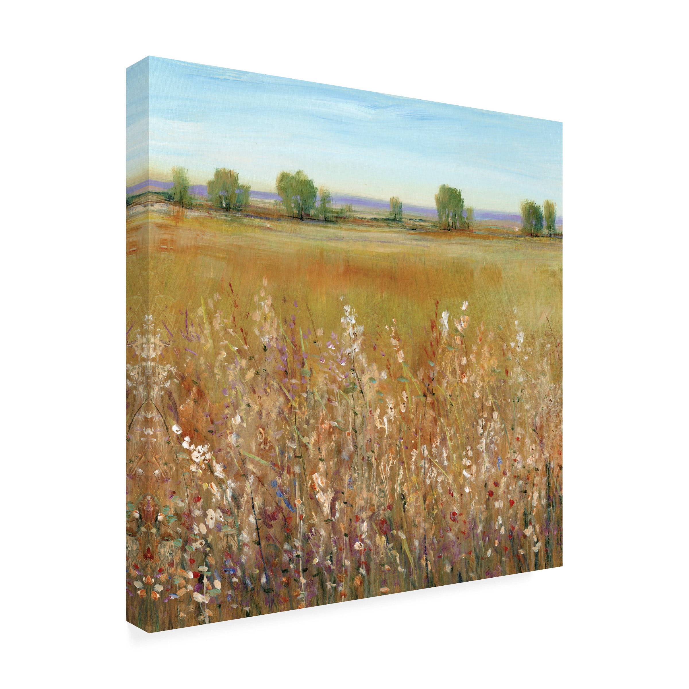 Tim OToole 'Abundance of Wildflowers I' Canvas Art