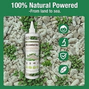 Bed Bug Defense Kit – DEssential Dust, 16 oz Spray & 48 ct Traps – Non-Toxic, Kills Eggs & Resistant Bugs, Child & Pet Safe