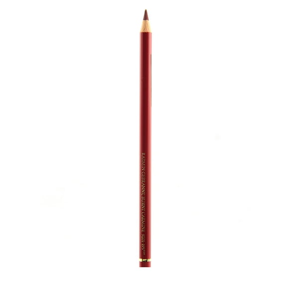 Polychromos Artist Colored Pencils (Each) burnt carmine, 193 (pack of 12)