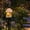 B, variant on Mushroom Solar Lights Outdoor, Solar Fairy-Tale Mushroom Cottage Garden Light, Charming Fairy Tale Aesthetic, Auto On/Off Landscape Pathway Light for Lawn, Walkway, Patio, Yard(A)