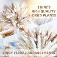 thumbnail image 7 of Lomyolo 92PCS Natural Dried Pampas Grass Bouquet,Boho Home Decor Bouquet, Phragmites Dried Flowers,Bouquet for Wedding Floral Arrangements Home Decorations, 7 of 7