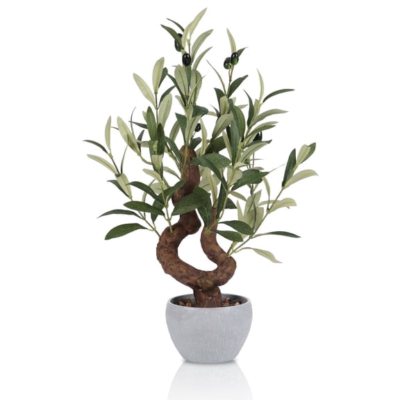 Small Artificial Olive Bonsai Tree Decor 10'' Tall Faux Olive Tree Potted Plant Desk Display with Bonsai Pot Decorative Greenery Realistic Wood for Home Office Countertop Kitchen Table Decor