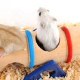 thumbnail image 6 of Gerbil Gym Exercise Wooden Climbing Funny Tunnel Seesaw Hideout Hamster Toys 17X7X6.5CM, 6 of 8