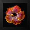 thumbnail image 2 of Reynolds, Richard 15x15 Black Modern Framed Museum Art Print Titled - Hibiscus Exotica, 2 of 5
