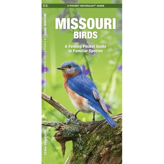 State Nature Guides: Missouri Birds: A Folding Pocket Guide to Familiar Species (Paperback)