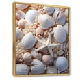 thumbnail image 2 of Designart "Beach Photo Seashell composition IX" Animals Floater Framed Canvas Wall Art, 2 of 7