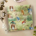 The Peter Rabbit Library Peter Rabbit 100% Cotton Garden, Multi-color, 18