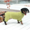 thumbnail image 6 of HQREA Dachshund Dog Turtleneck Sweater, Winter Warm Clothes for Dachshunds, Sausage, 6 of 6