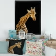 thumbnail image 3 of Designart 'Portrait of A Giraffe On Black Background II' Farmhouse Framed Art Print, 3 of 4
