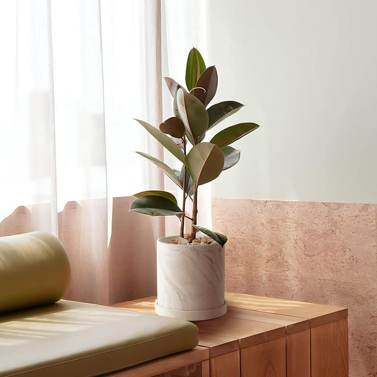 5 inch Plant Pot - Terra Cotta Flower Planters Indoor - Modern Succulents  Containers with Drain Hole & Saucer, Decorate Home, Office & Outdoor (Pink)  - Walmart.com