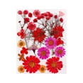 thumbnail image 1 of 1 Bag Dried Flowers Diy Pressed Flowers Stickers for Phone Case Jewelry Making Crafts Nail Art Decor, 1 of 8