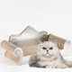 thumbnail image 5 of Rascador de gato duradero, cartón, sofá en almohadilla para rascar, Los 58x26x27cm Yuyangstore Tabla de rascar para gatos, 5 of 8
