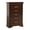 Cappuccino, variant on Passion Furniture Louis Phillipe II Cappuccino 5 Drawer Chest of Drawers (31 in L. X 16 in W. X 48 in H.)