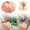 C, variante sur BJUTIR Coussins en Soie pour Cheveux et Peau Housse de Coussin Six Couleurs de Citrouille Coussin en Peluche en Forme de Citrouille Décoration d'Automne Coussin en Forme de Citrouille Mignon 35 cm