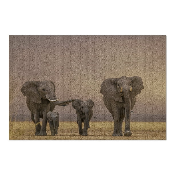 African Elephant Family (20x30 Premium 1000 Piece Jigsaw Puzzle, Made ...