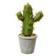 thumbnail image 1 of Planta tropical en macetas con macetas, adornos creativos, planta de simulación de cactus, bonsái, 1 of 5