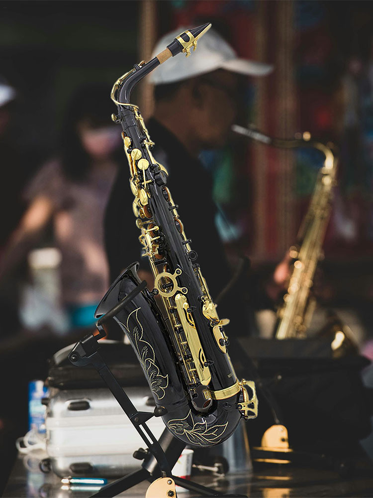 PWTOOL Alto Saxophone Drop E Brass Sax Full Kit for Student Beginners with Carving, Mouthpiece, Carrying Case, Gloves, Cleaning Cloth Bar (Black & Gold)