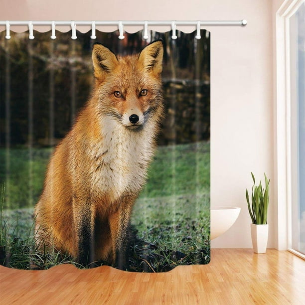 RYLABLUE Fox Natural Wildlife Cute Foxes in Forest Polyester Fabric Bath  Curtain, Bathroom Shower Curtain 66x72 inches