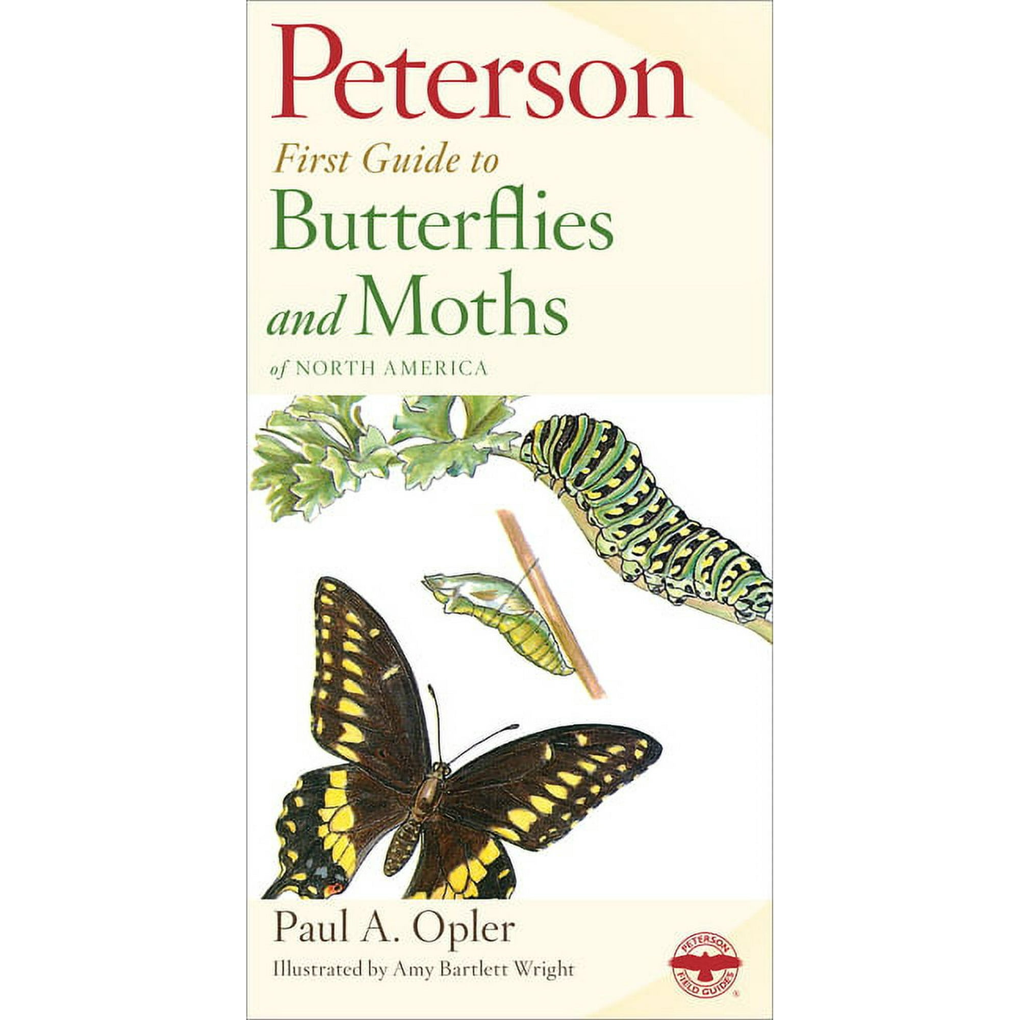 Peterson First Guide Peterson First Guide to Butterflies and Moths Book 14 (Paperback)