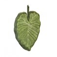 thumbnail image 1 of Toalla de mano de hoja verde, suave y absorbente, con hojas de alocasia y hojas de monstera, con lazo para colgar, ideal para el hogar, el baño y la cocina., 1 of 8