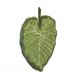 thumbnail image 1 of Toalla de mano de hoja verde, suave y absorbente, con hojas de alocasia y hojas de monstera, con lazo para colgar, ideal para el hogar, el baño y la cocina., 1 of 8