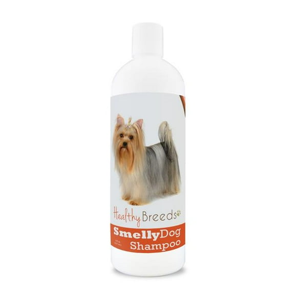 Yorkshire Terrier Smelly Dog Baking Soda Shampoo