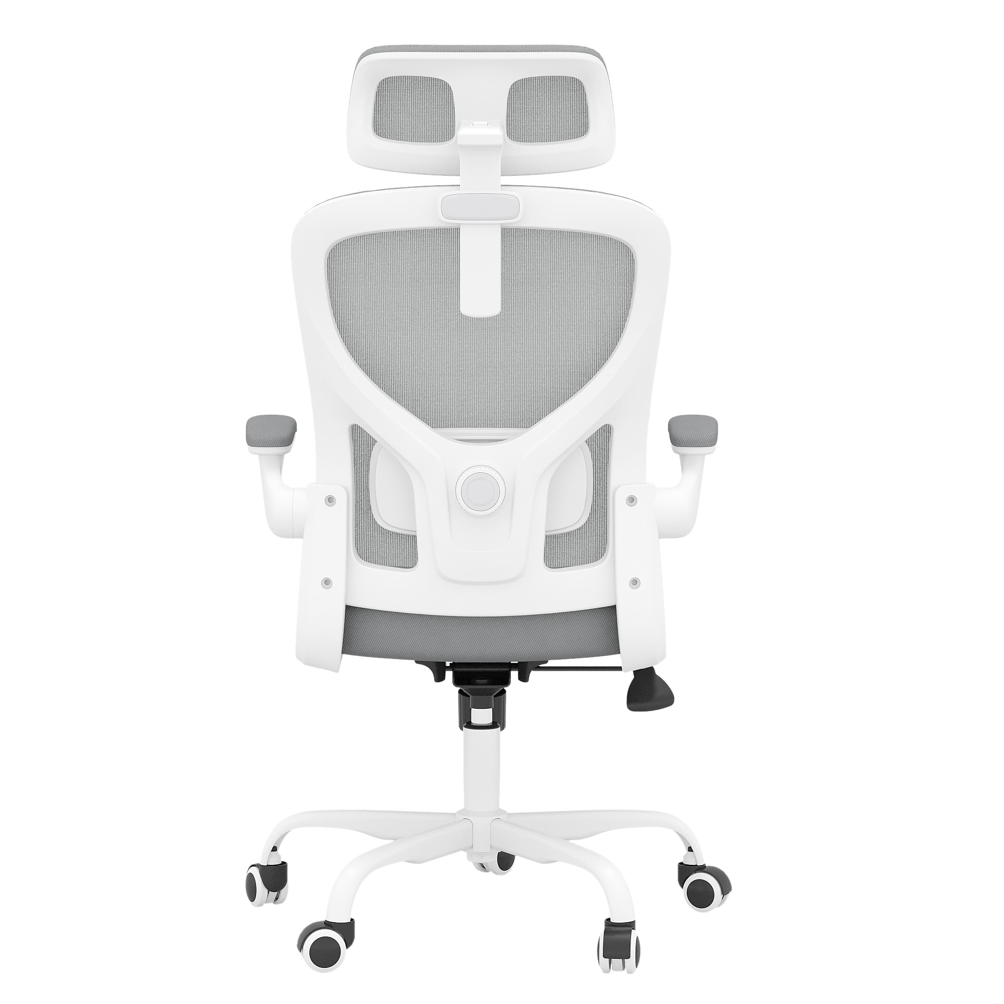 MAYEERTY Ergonomic Home Office Chair with Lumbar Support, Flip-Up Armrests, Headrest for Work & Study,Gray