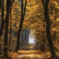 thumbnail image 2 of Van de Goor, Lars 12x12 White Modern Wood Framed Museum Art Print Titled - Speuldimensions, 2 of 4