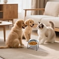 thumbnail image 5 of Elevated Dog Bowls, Stainless Steel Elevated Pet Bowl - Raised Dog Water Dish with Non-Slip Base for Comfortable Eating and Drinking, 5 of 8