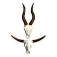 thumbnail image 5 of kowaku Faux Animal Skull Wall Sculpture Resin Rustic Animal Head Sculpture Wall Hanging Animal Faux Skull for Fireplace Bedroom Home Bull and Sheep, 5 of 9