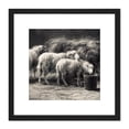 thumbnail image 1 of Bonheur Bergerie Sheep Pen Drawing 8X8 Inch Square Wooden Framed Wall Art Print Picture with Mount, 1 of 4