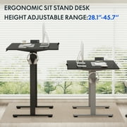 FLEXISPOT 55 x 28 Home Office Height Adjustable Standing Desk Memory Programmable Presets Computer Desk Gray and Black