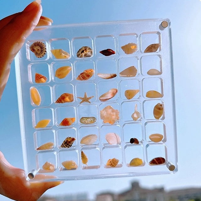 Mistaha Transparent Acrylic Seashell Organizer Box with 36 Compartments - Durable Jewelry Beads Storage Container - Stackable Display Case for Crafts and Accessories