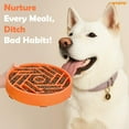 thumbnail image 5 of WHIPPY Slow Feeder Dog Bowl for Medium Large Dogs Anti-Choking Slow Eating Dog Food Bowl, 5 of 9