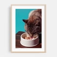 thumbnail image 2 of Enjoying a Meal  - Photography Cat Animal Kitchen Decor Unframed Wall Art Print 20 x 28 inches, 2 of 60
