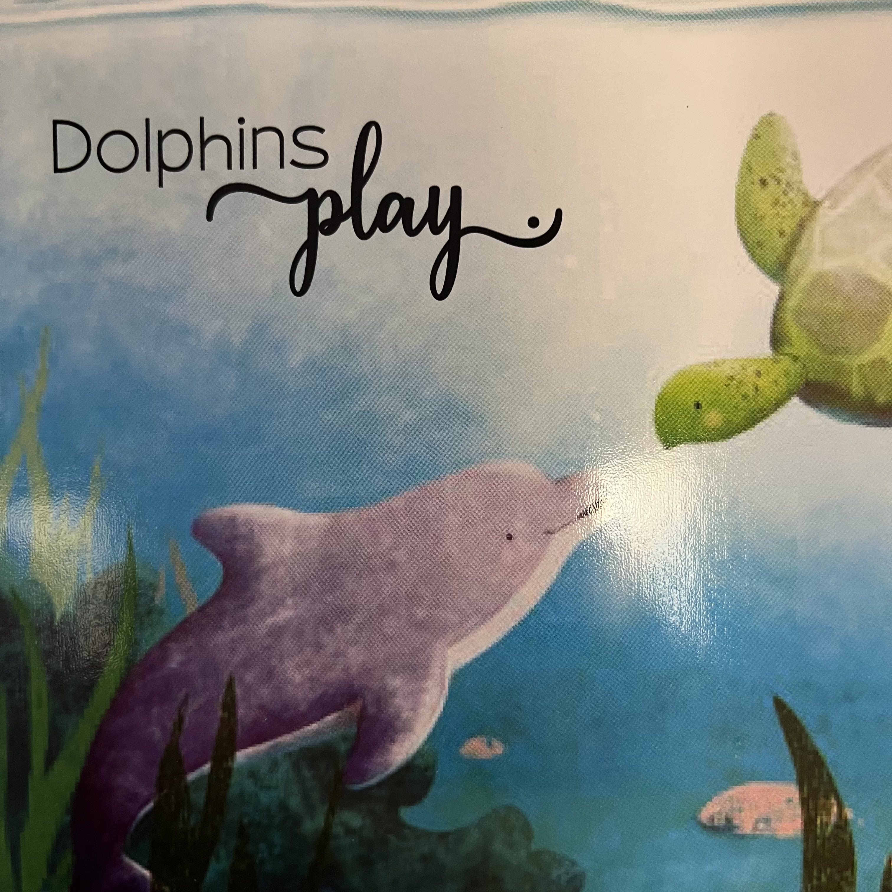 Island Heritage Dolphins Children's Board Book by Rebecca Heller