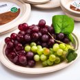 thumbnail image 4 of Zeus 8Pcs Disposable Fruit Cake Food Paper Dish Plate Bowl Barbecue Party Tableware, 4 of 7